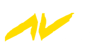 AVStumVideoPro